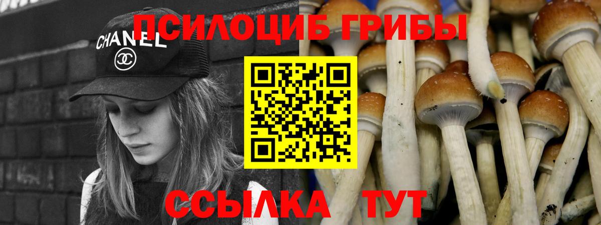 Галлюциногенные грибы ЛСД Лесосибирск